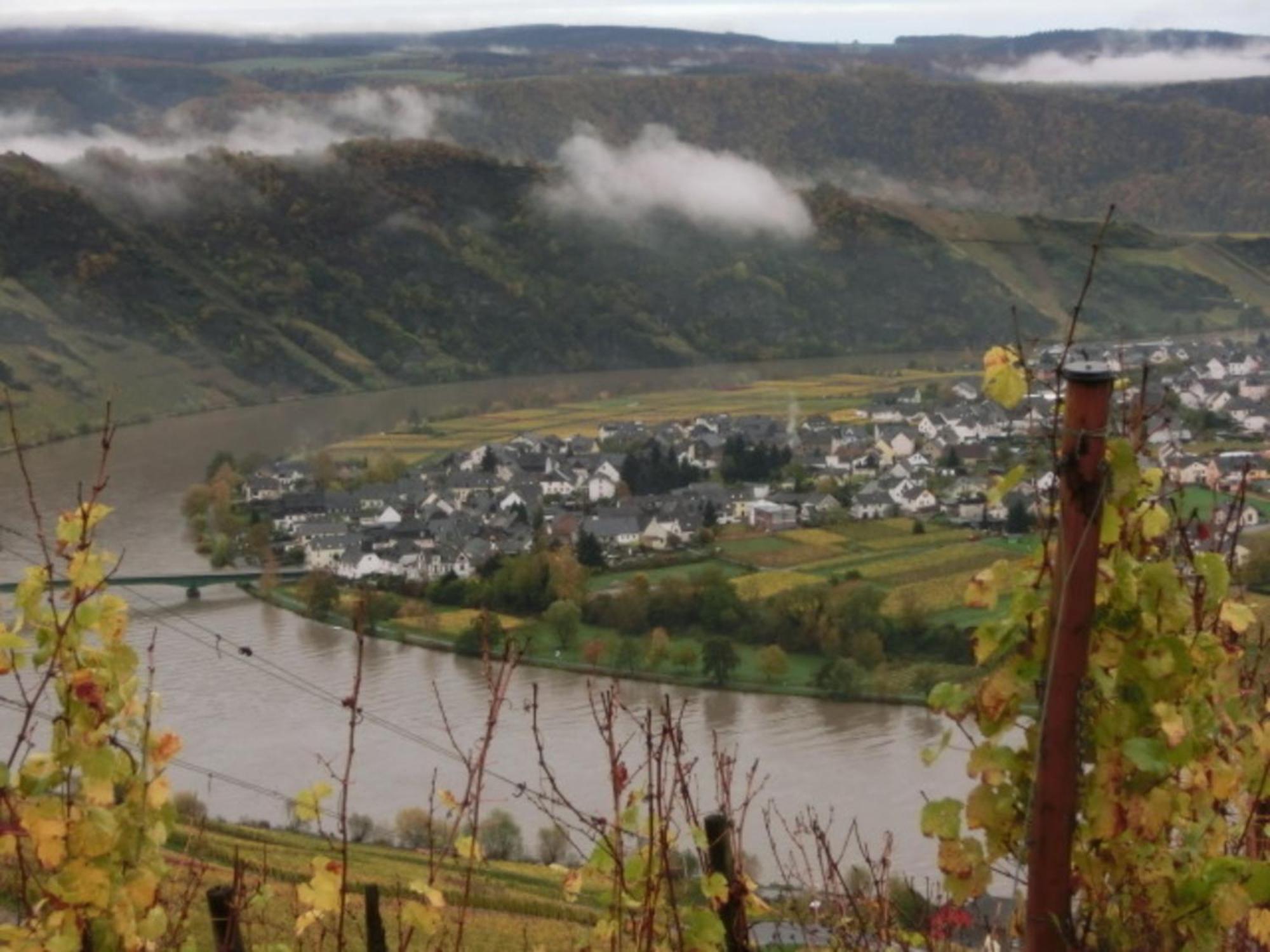 Ferienwohnung Mit Herrlichem Moselblick Piesport Bagian luar foto